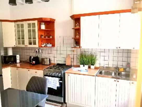 Free Garage Parking, Ac And Bikes In The Downtown Apartamento Budapeste
